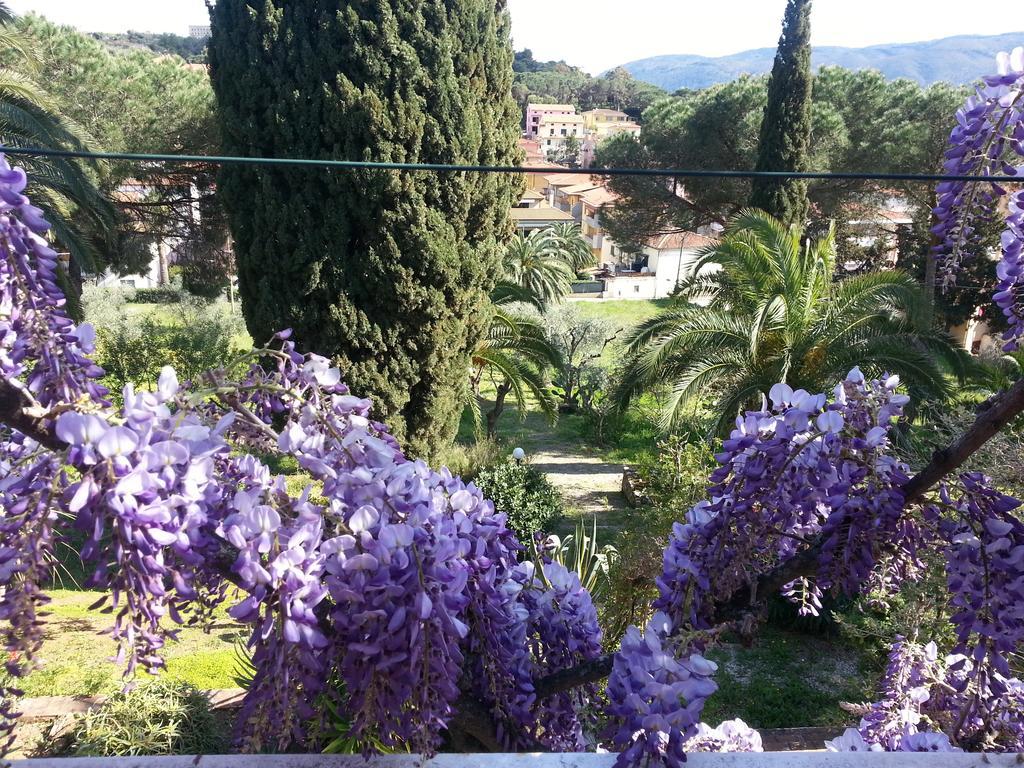 Villa San Giuseppe Porto Azzurro Dış mekan fotoğraf