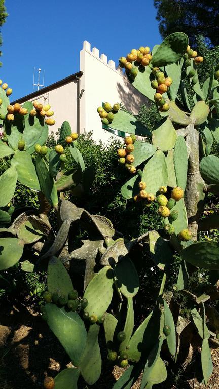 Villa San Giuseppe Porto Azzurro Dış mekan fotoğraf